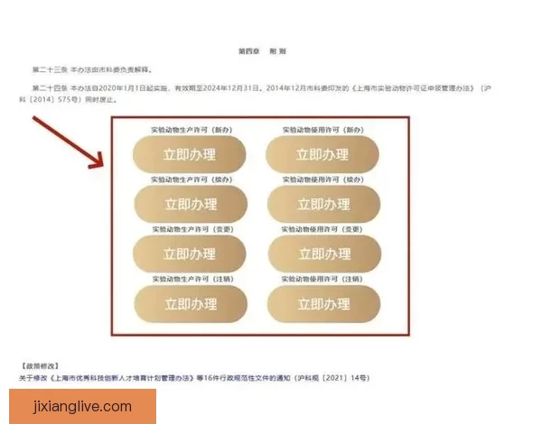 吉祥坊怎么样？全面解析其优势与用户体验，让你了解更多