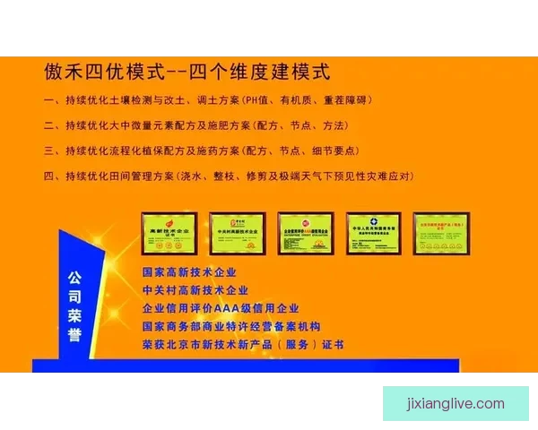 世界杯赛事深度解析与体育竞猜策略全方位指南
