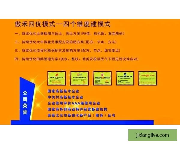 世界杯赛事深度解析与体育竞猜策略全方位指南 世界杯赛事深度解析与体育竞猜策略全方位指南
